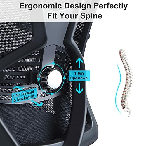 Ergonomic chair back with adjustable lumbar support and spine illustration.