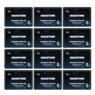 Gigastone Enterprise SSD 1TB