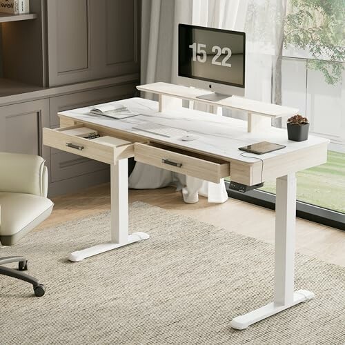 EUREKA ERGONOMIC Electric Standing Desk