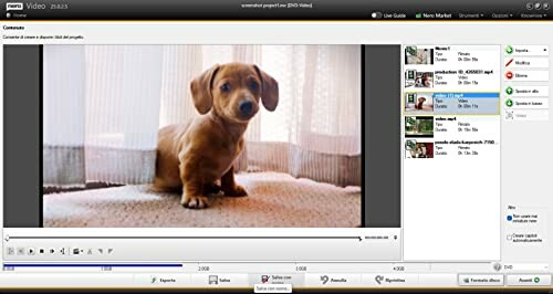 A cute puppy displayed in video editing software interface.