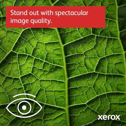 Close-up of a leaf with text about image quality.